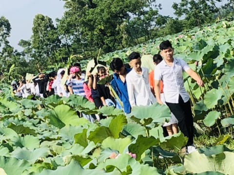 Học sinh dã ngoại tại khu ao cá đầm sen của nhà trường
